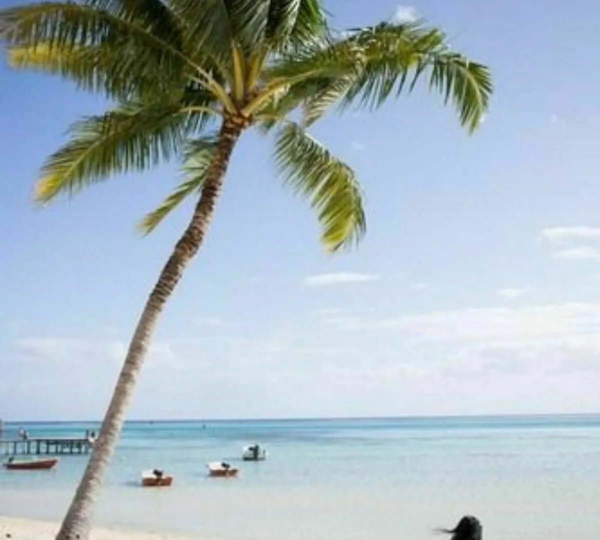 *** Aparthotel Moorea Sunset Beach Haapiti Francouzská Polynésie